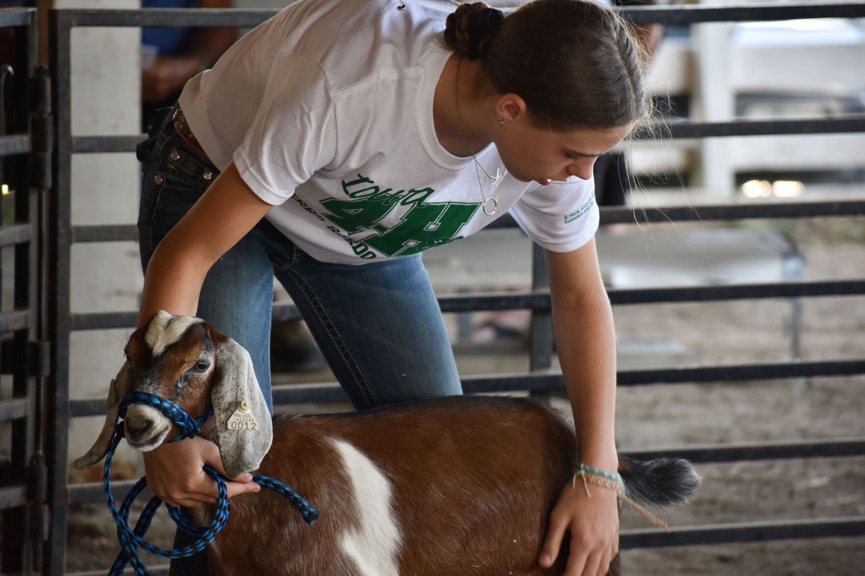 North Iowa Fair 4